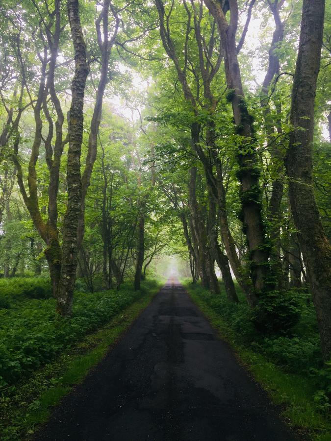 Forse Of Nature Latheron Екстериор снимка